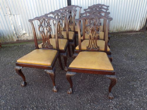 Dining Chairs