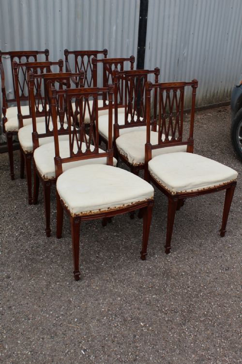 Dining Chairs
