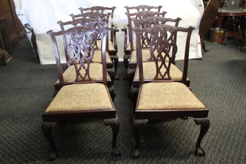 Dining Chairs