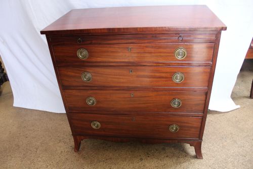 Chest