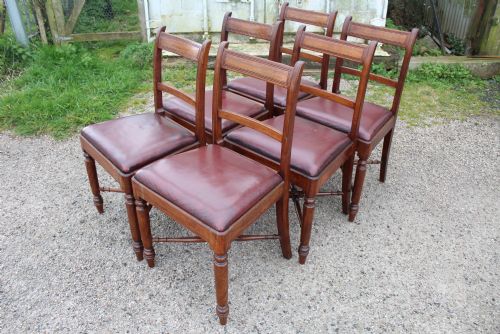 6 Dining Chairs
