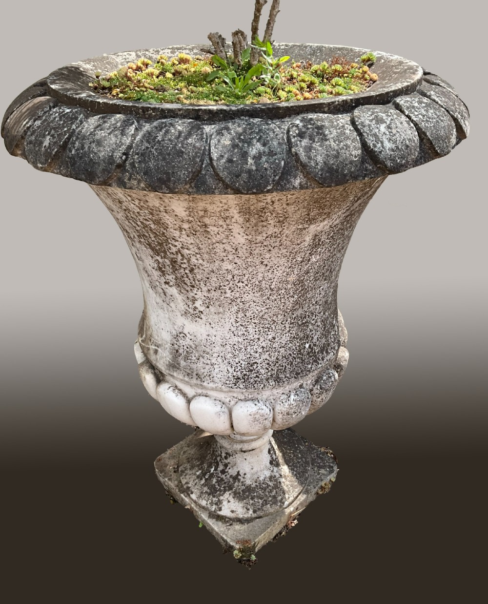 A near pair of large carved marble garden urns with weathered grey surfaces, gadrooned rims, and lobed bases. View IV