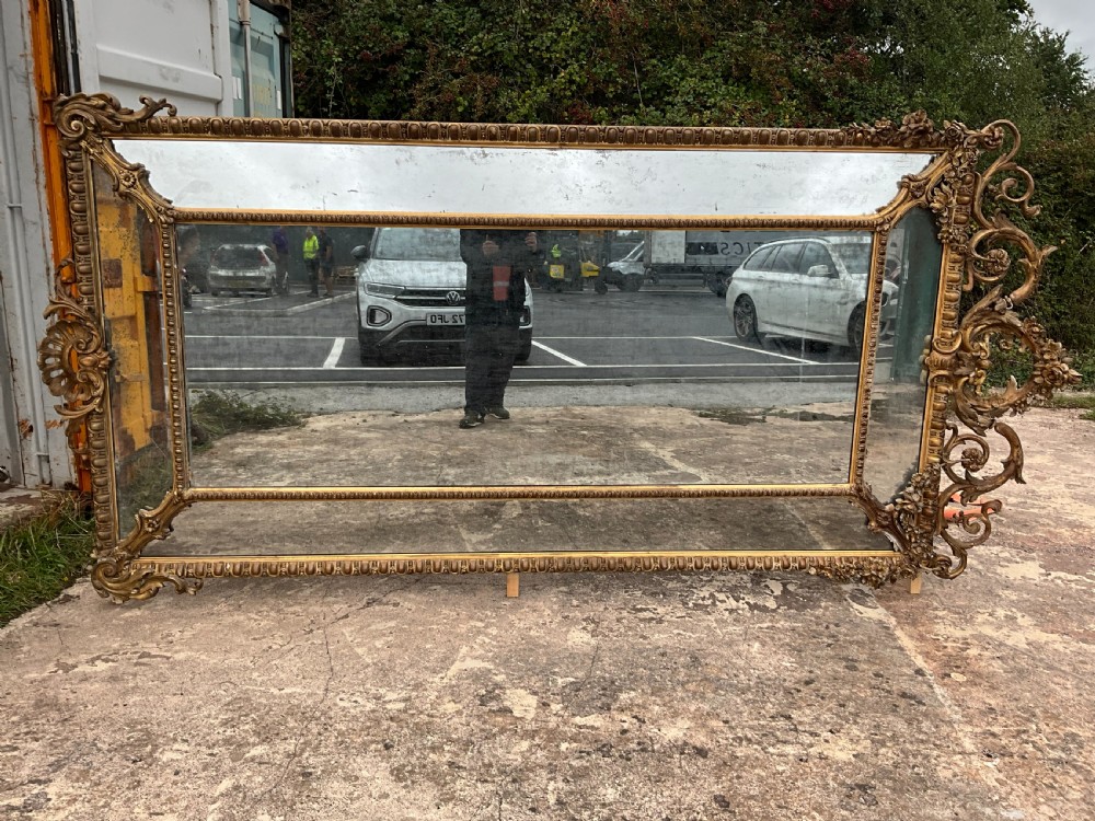 A large nineteenth-century French giltwood border mirror featuring a elaborate rococo crested top, egg and dart moulding, and marginal glass panels. View V