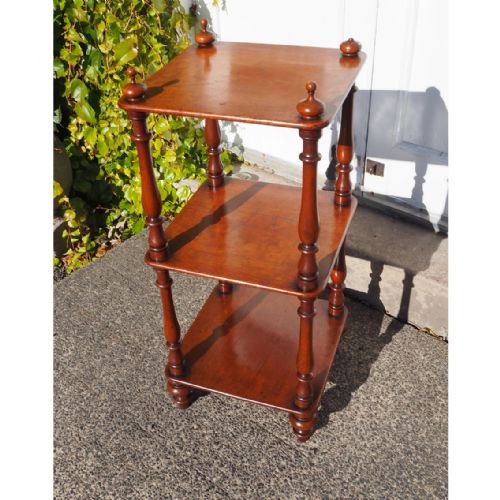 Small 19th Century Mahogany Whatnot