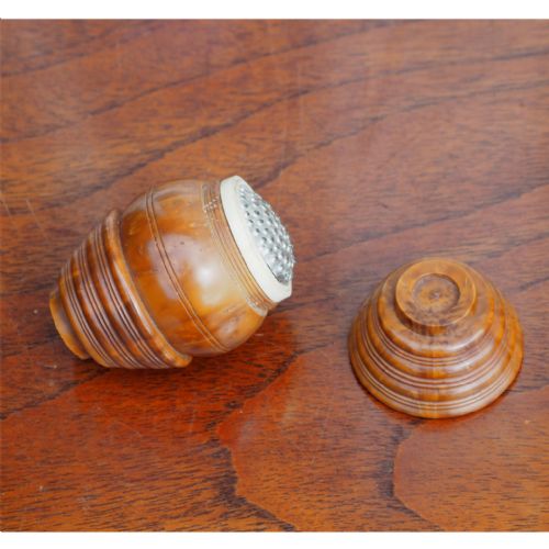 19th Century Cocquila Nutmeg Grater