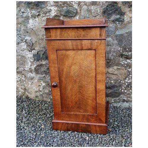 Early Victorian Mahogany Bedside Cabinet