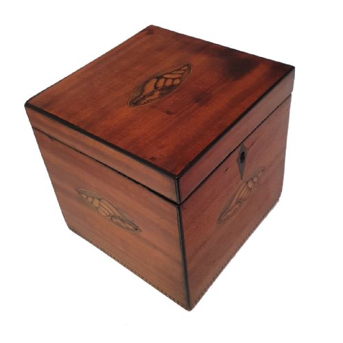 George III Shell Inlaid Satinwood Tea Caddy