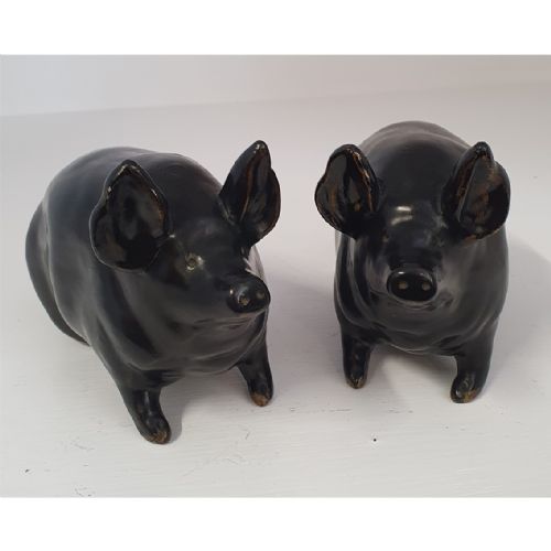fig 1. Rare Pair of Scottish Wemyss Black Pigs