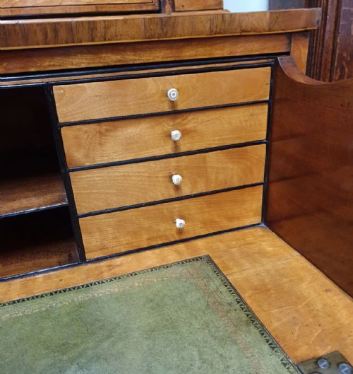 fig 4. Fine Small Hepplewhite Satinwood Bookcase