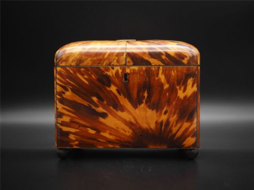 Fine Regency Tortoise Shell Tea Caddy