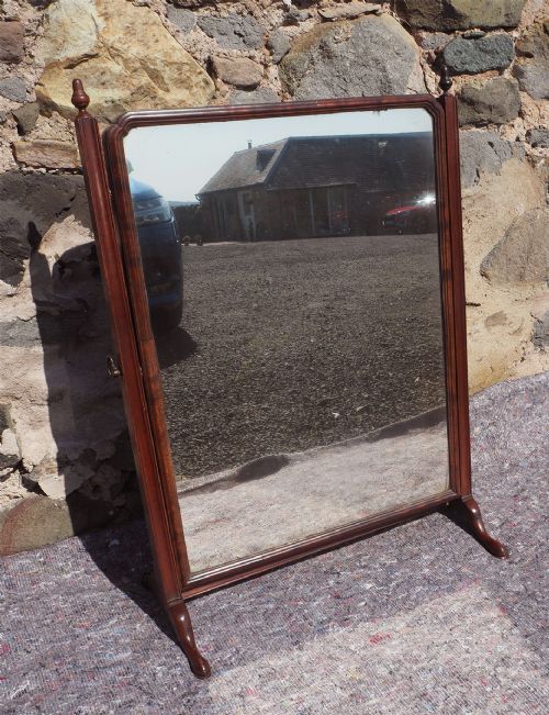 Large Georgian Mahogany Swing Mirror