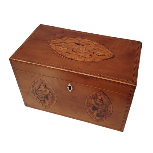 Fine George 3rd Satinwood Tea Caddy