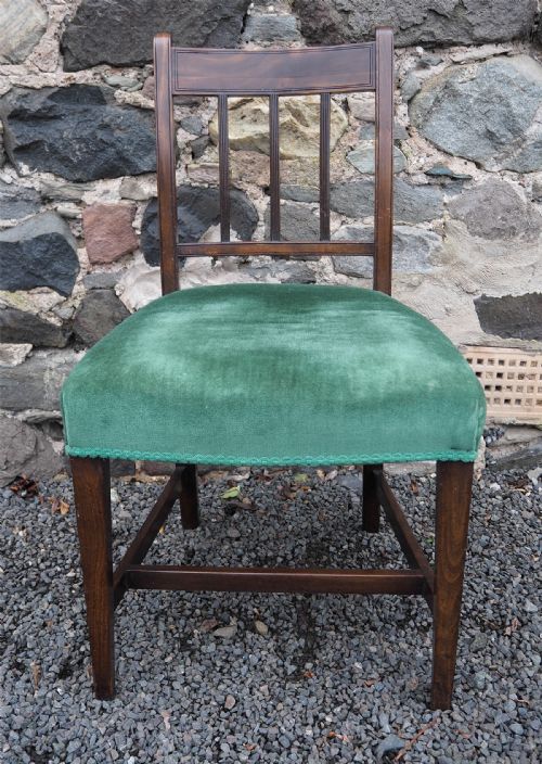 Georgian Scottish Laburnum Chair