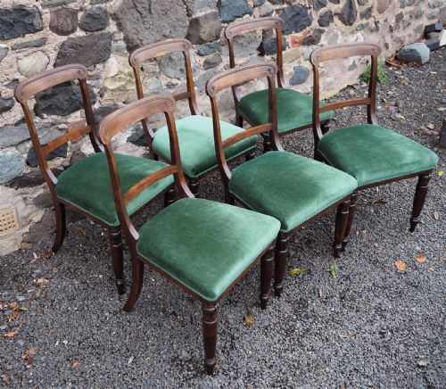 fig 1. Set of 6 Scottish Laburnum Chairs