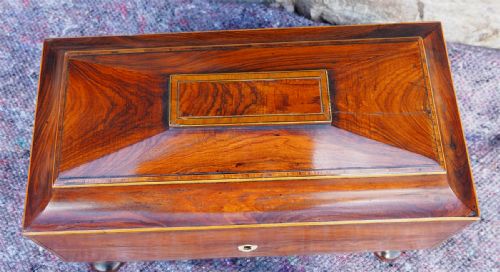 FINE REGENCY ROSEWOOD TEA CADDY COMPLETE - ADDITIONAL PHOTO 2