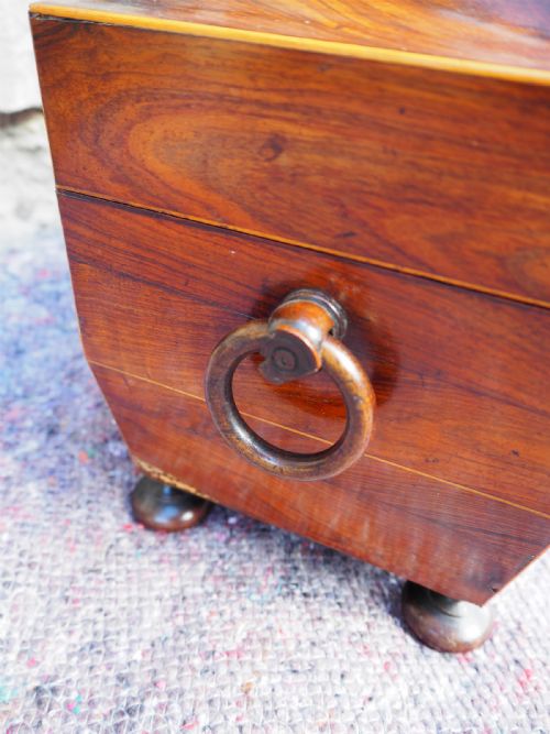 FINE REGENCY ROSEWOOD TEA CADDY COMPLETE - ADDITIONAL PHOTO 5