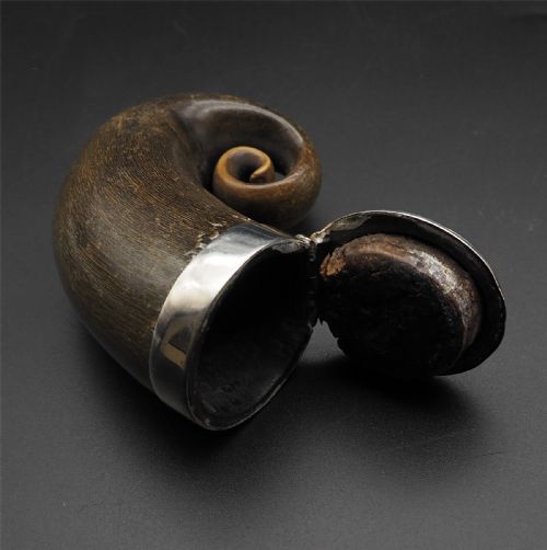 GOOD SCOTTISH HORN SILVER SNUFF MULL - ADDITIONAL PHOTO 2