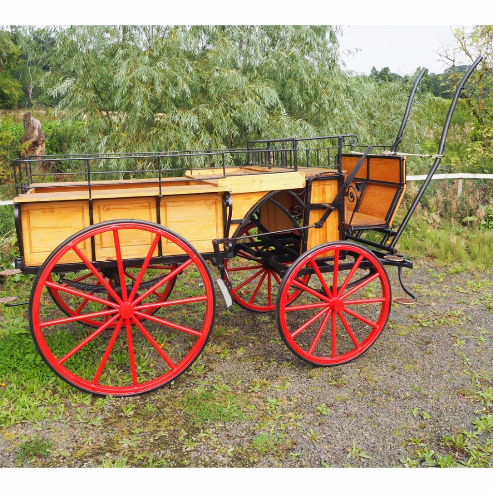 FINE EARLY 20th CENTURY HORSE DRAWN CARRIAGE