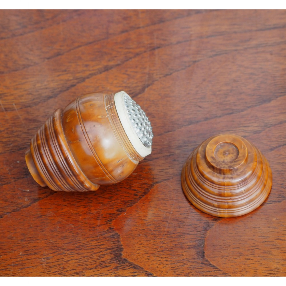 19th CENTURY COCQUILA NUTMEG GRATER
