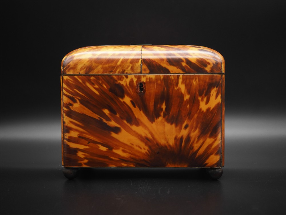Fine Regency Tortoise Shell Tea Caddy