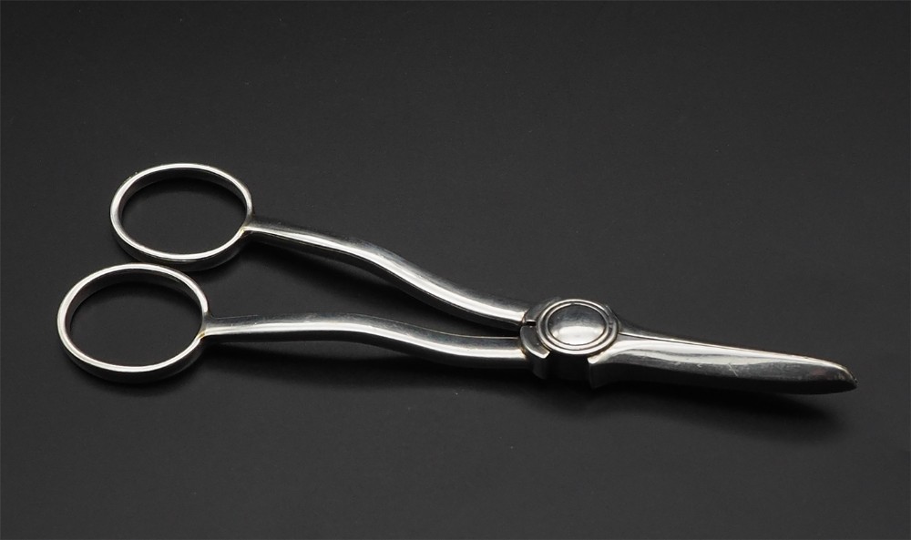 Pair Victorian Silver Grape Scissors