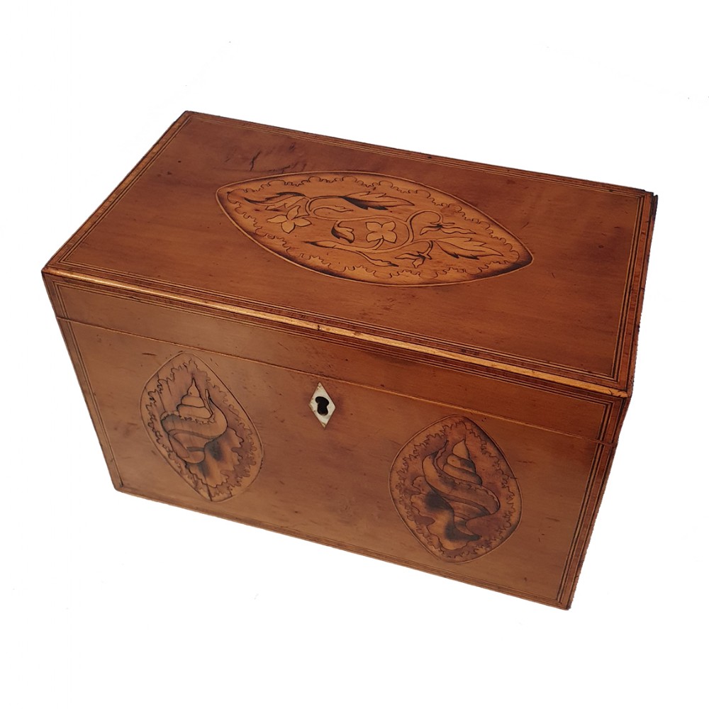 Fine George 3rd Satinwood Tea Caddy