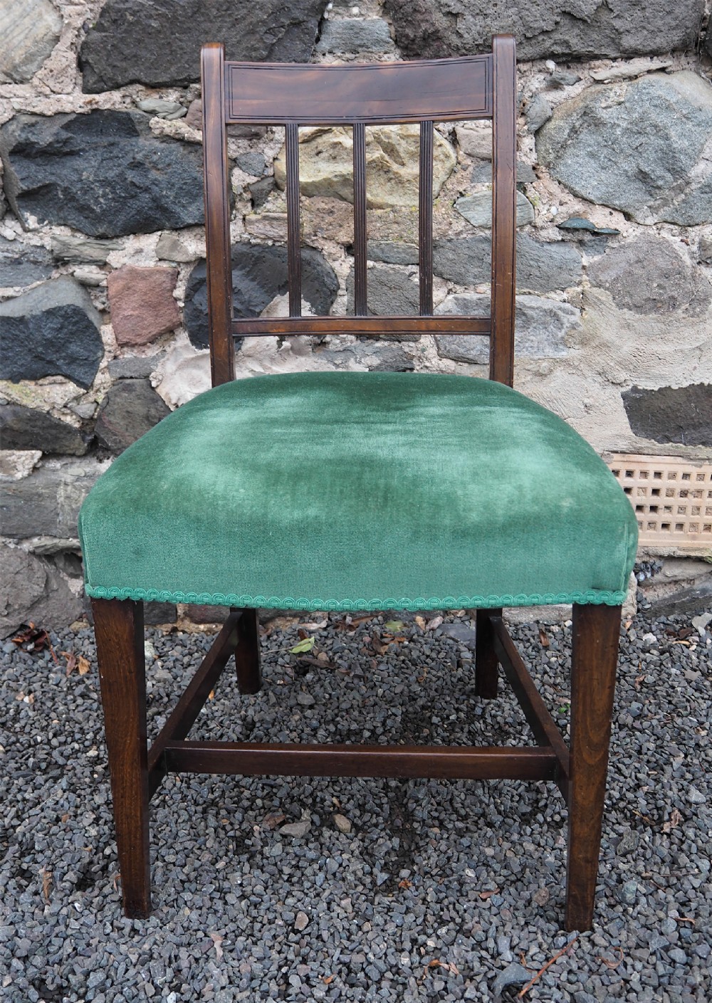 Georgian Scottish Laburnum Chair