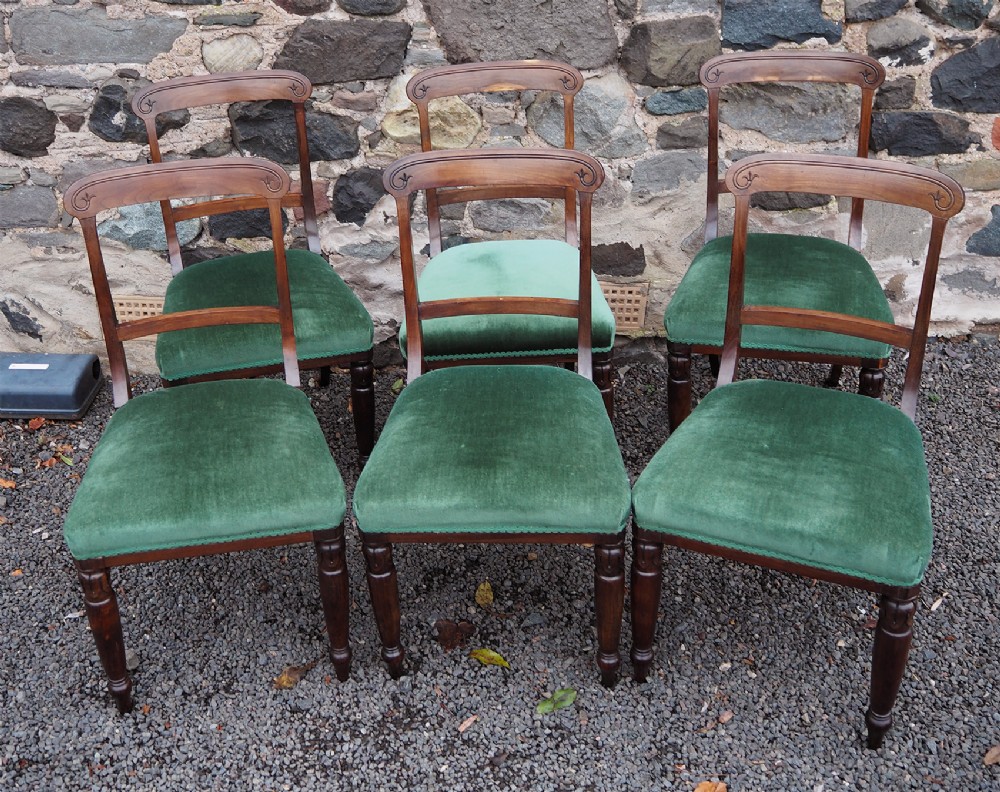 Set of 6 Scottish Laburnum Chairs