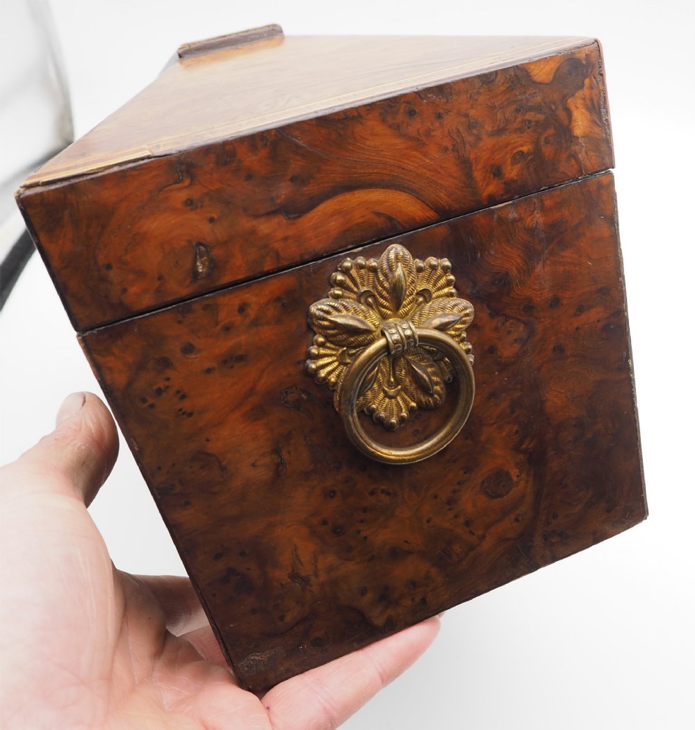 A Regency period sarcophagus-shaped tea caddy crafted from figured burr yew wood with fine string inlay. View V