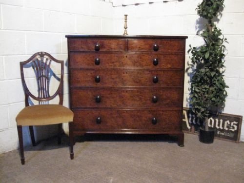 Antique Regency Mahogany Plumb Pudding Chest of Drawers C1800