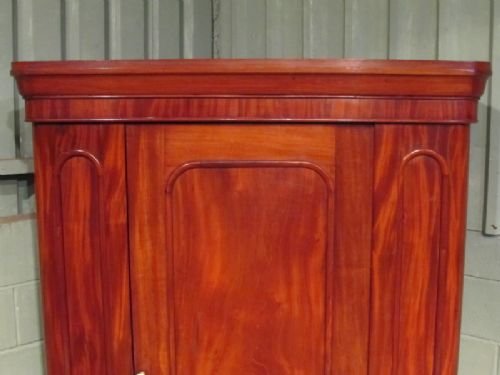 fig 2. ANTIQUE VICTORIAN MAHOGANY SINGLE WARDROBE C1870 W6743/16.1