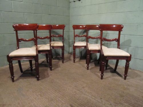 Antique Set Six William 1v Mahogany Dining Chairs C1830 W7102/8.10