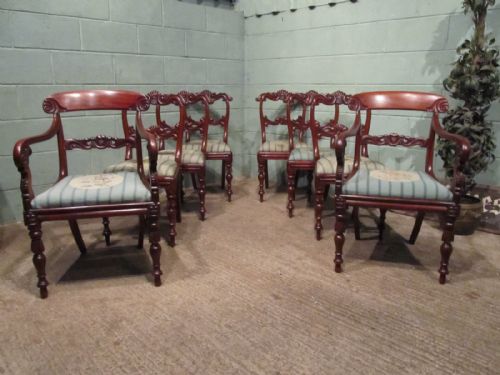 Antique Harlequin Set Eight William 1v Mahogany Dining Chairs C1830