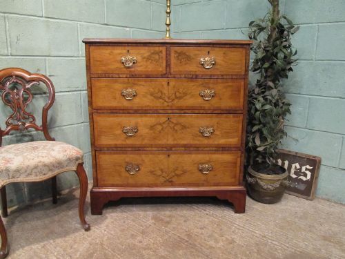 Antique Victorian Burr Walnut Chest of Drawers C1880