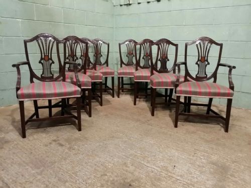 Antique Edwardian Mahogany Set of Eight Shield Back (Wheatsheaf Design) Dining Chairs C1900