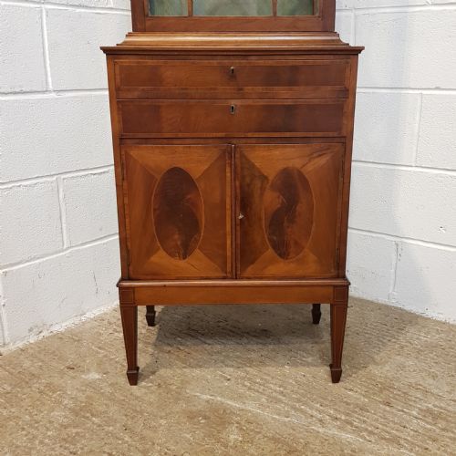 fig 2. ANTIQUE EDWARDIAN TALL NARROW ASTRAGAL GLAZED MAHOGANY CABINET C19