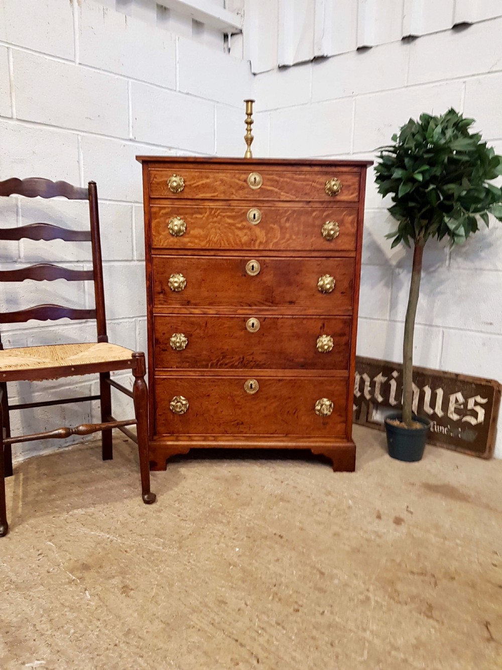 ANTIQUE REGENCY TALL NARROW OAK CHEST OF DRAWERS C1820