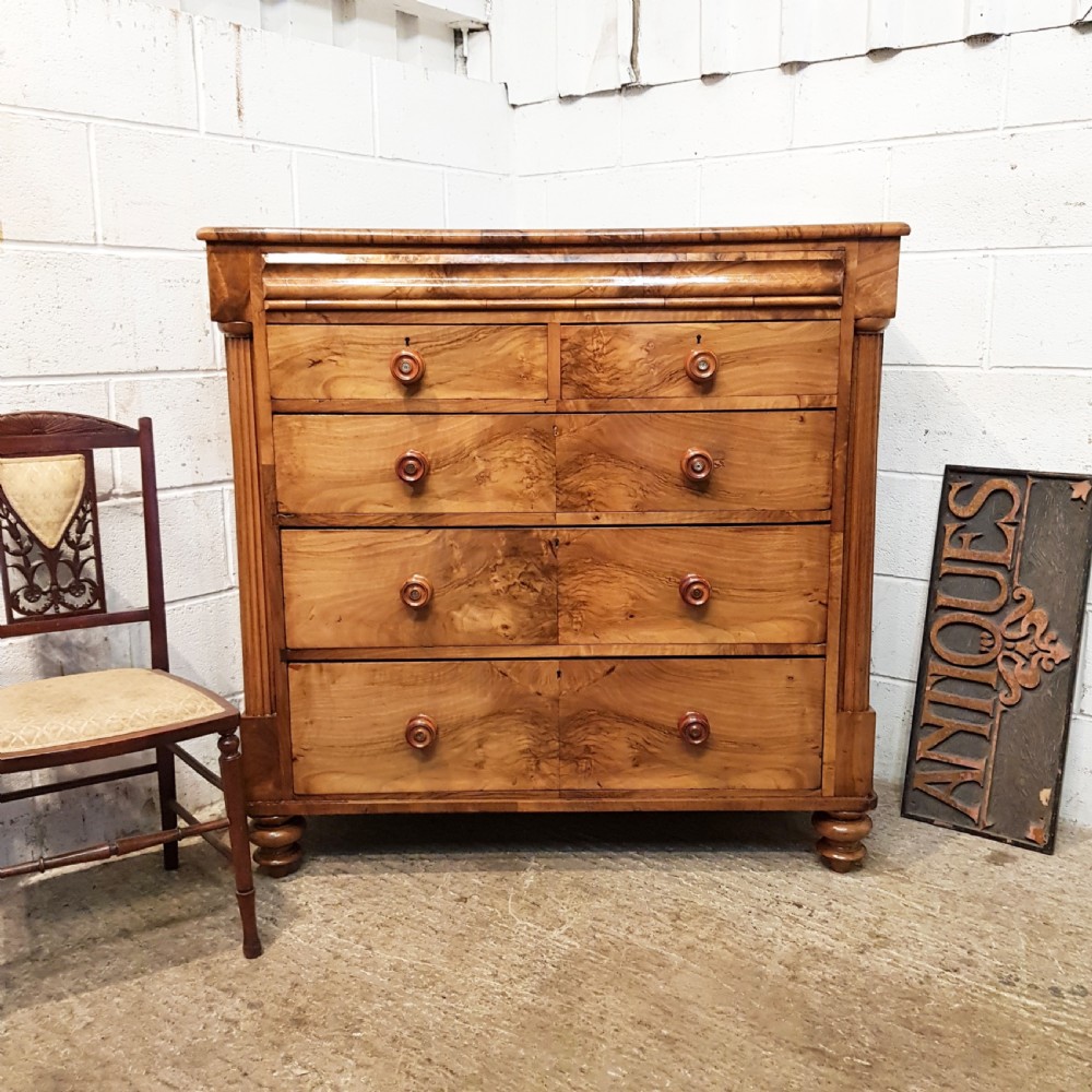ANTIQUE VICTORIAN BURR WALNUT SCOTCH  CHEST OF DRAWERS C1880