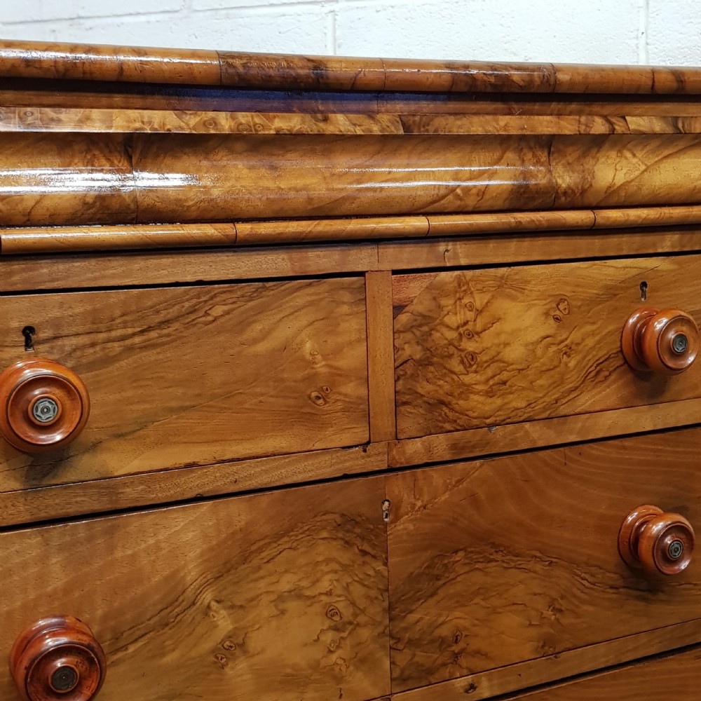 ANTIQUE VICTORIAN BURR WALNUT SCOTCH  CHEST OF DRAWERS C1880 View III