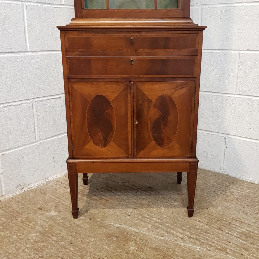 ANTIQUE EDWARDIAN TALL NARROW ASTRAGAL GLAZED MAHOGANY CABINET C19 View III