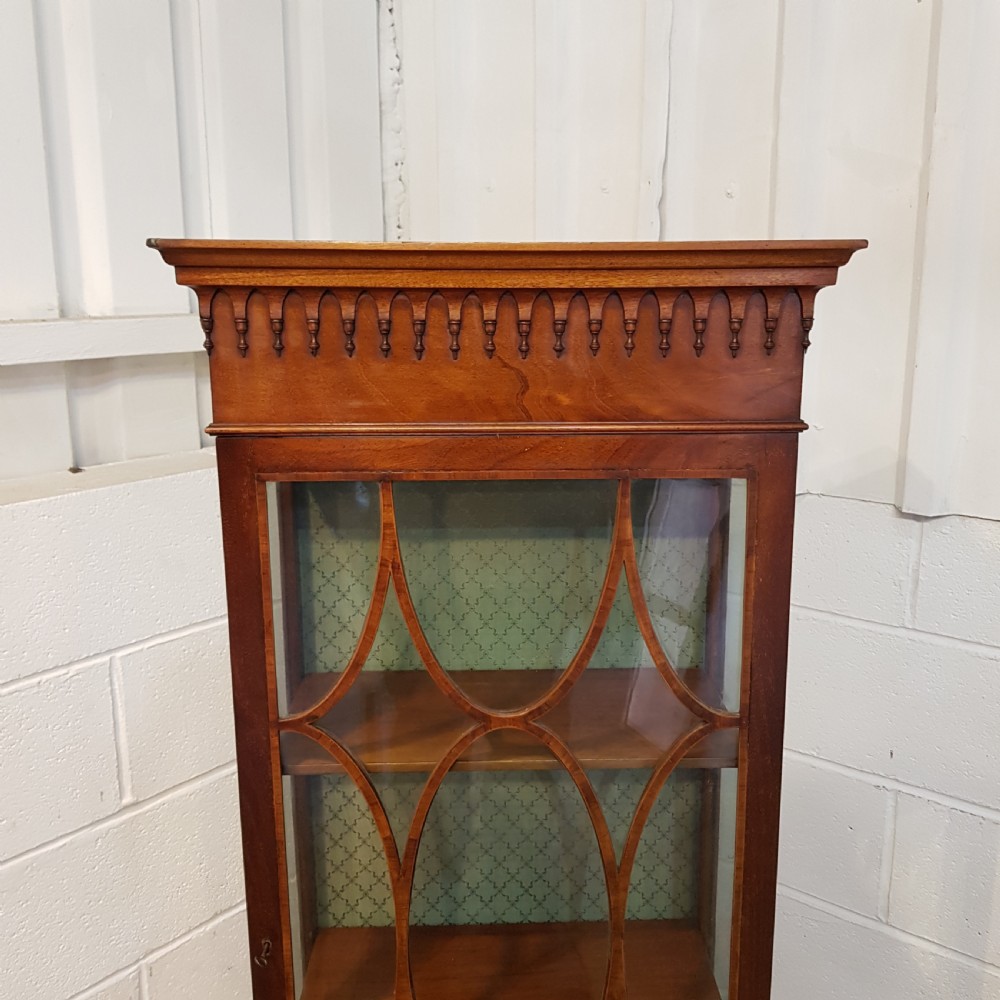 ANTIQUE EDWARDIAN TALL NARROW ASTRAGAL GLAZED MAHOGANY CABINET C19 View IV