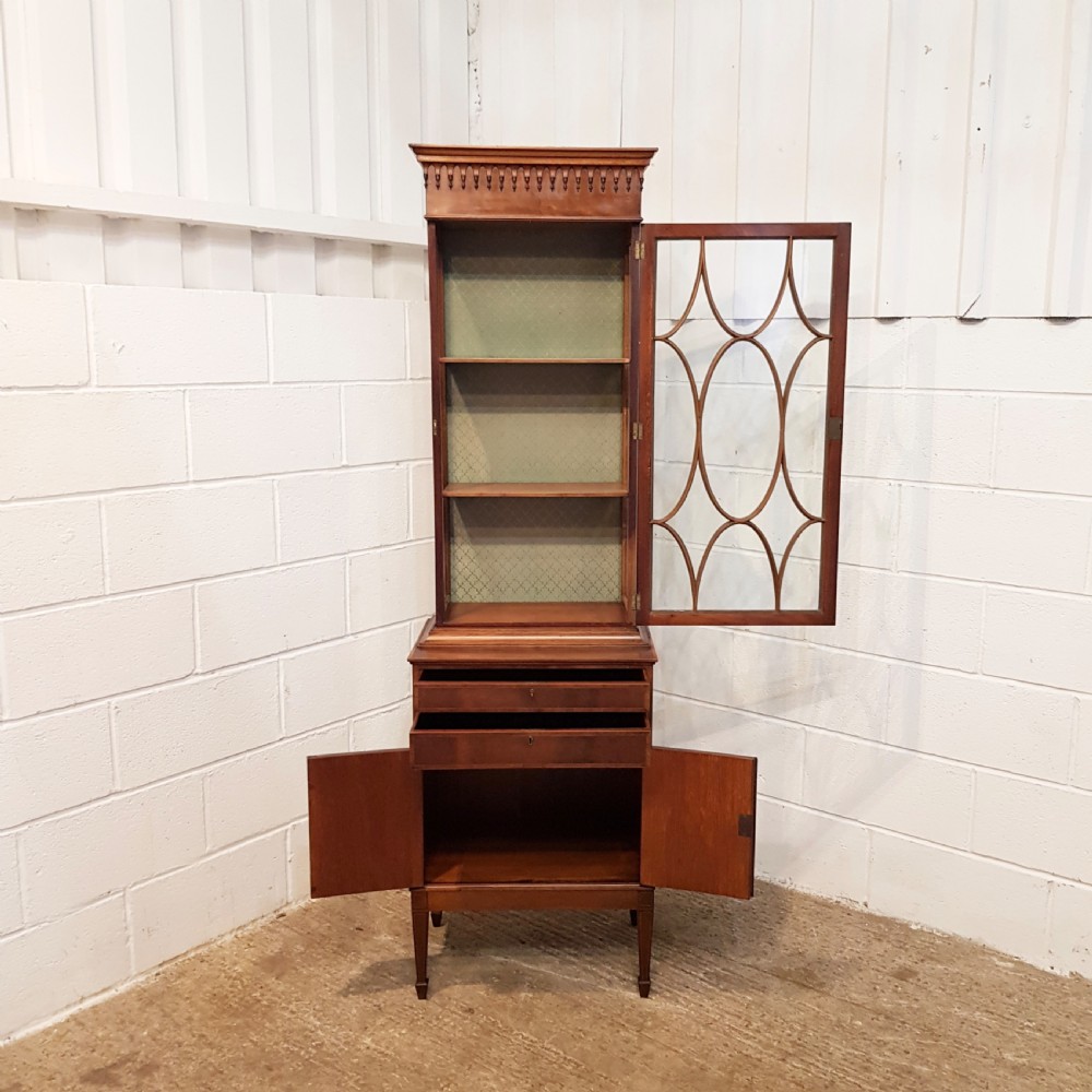 ANTIQUE EDWARDIAN TALL NARROW ASTRAGAL GLAZED MAHOGANY CABINET C19 View VI