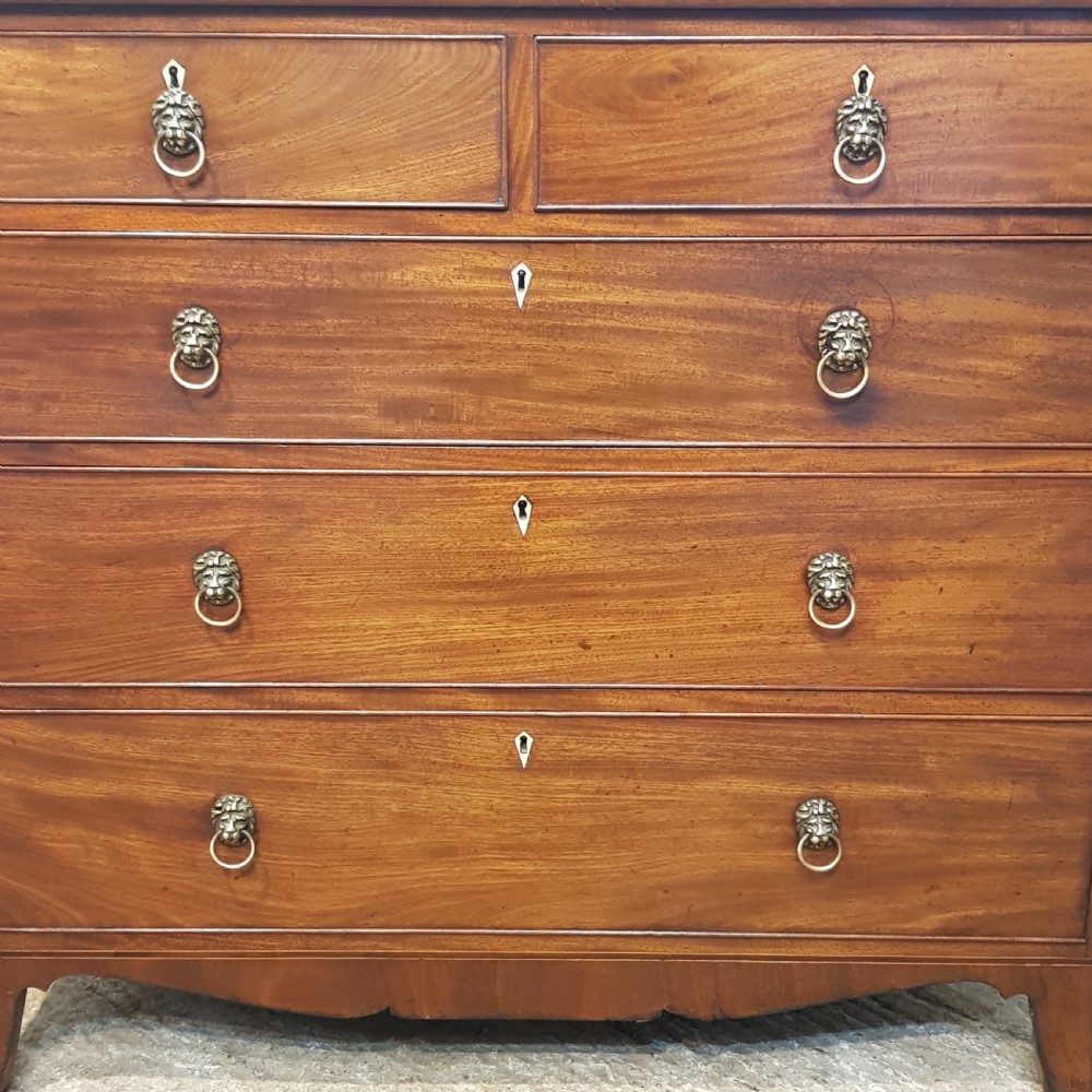 ANTIQUE REGENCY MAHOGANY CHEST OF  DRAWERS C1820 View IV