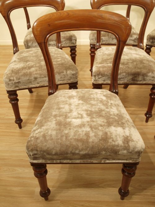 fig 1. A Fine Set Of 8 Mahogany Early Victorian Dining Chairs