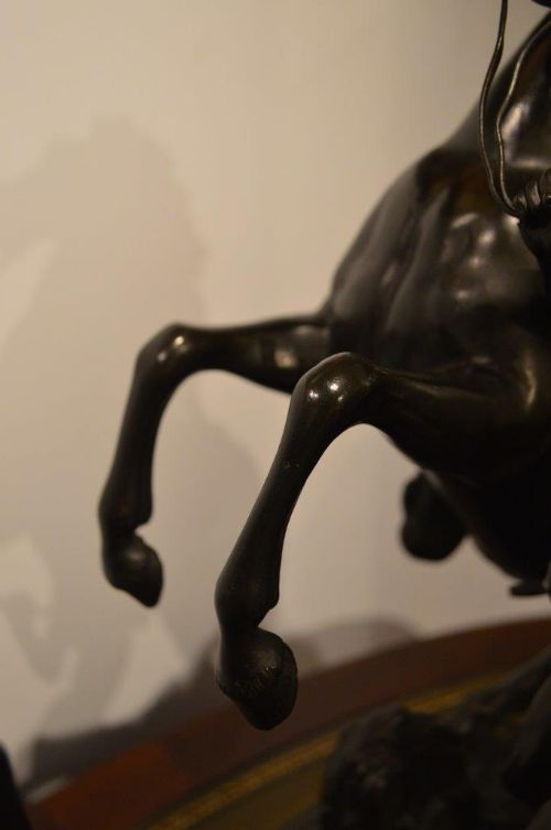 fig 1. A Pair of French 19th Century Bronze Marley Horses