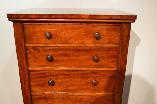 fig 1. A Good Mahogany Victorian Period Antique Wellington Chest By Holland & Sons