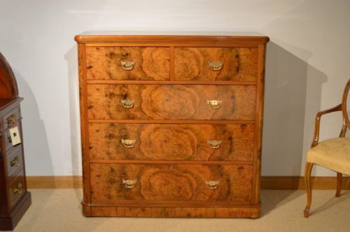 A Burr Walnut Victorian Period Antique Chest of Drawers by James Shoolbred
