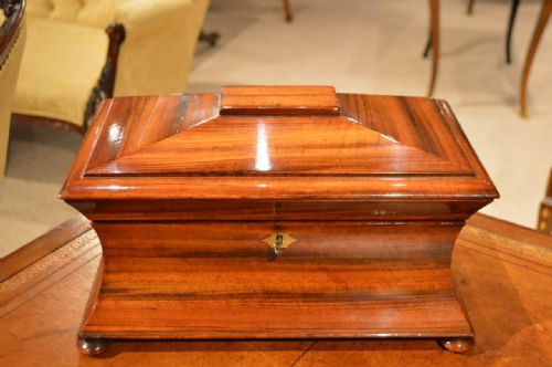 A Goncalo Alves Regency Period Antique Tea Caddy