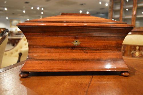 fig 1. A Goncalo Alves Regency Period Antique Tea Caddy
