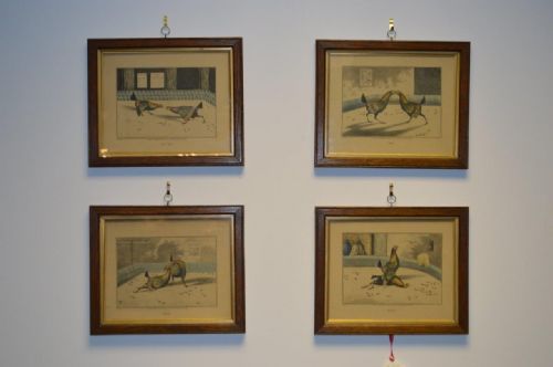 A Set of 4 Cock Fighting Prints by Henry Thomas Alken